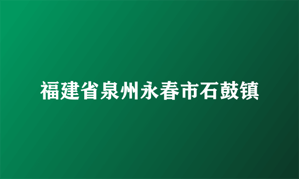 福建省泉州永春市石鼓镇