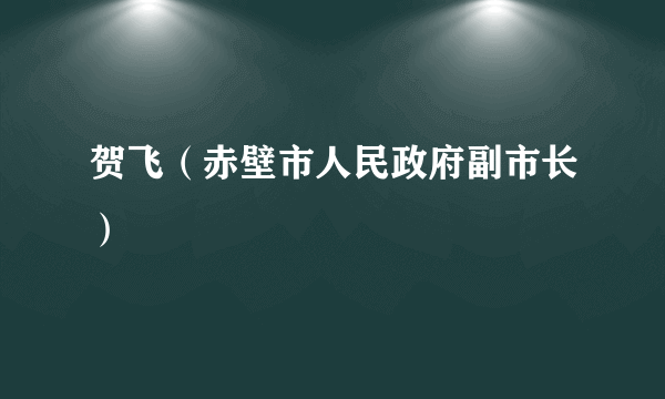 贺飞（赤壁市人民政府副市长）