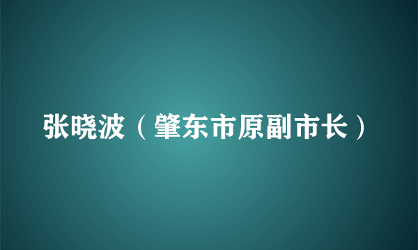 张晓波（肇东市原副市长）