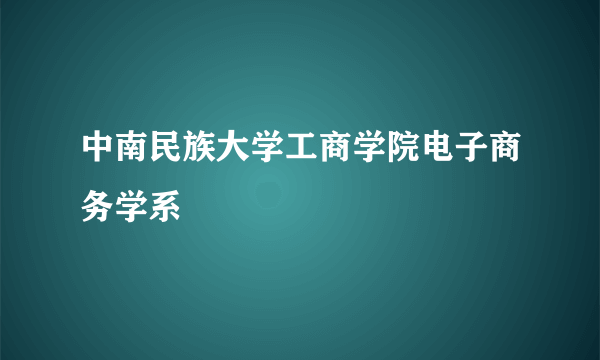 中南民族大学工商学院电子商务学系