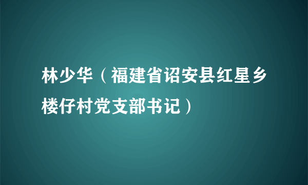 林少华（福建省诏安县红星乡楼仔村党支部书记）