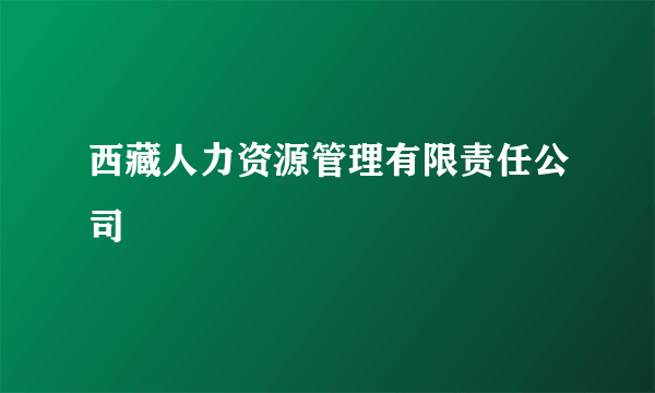 西藏人力资源管理有限责任公司