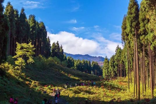 秦王川山地运动生态公园