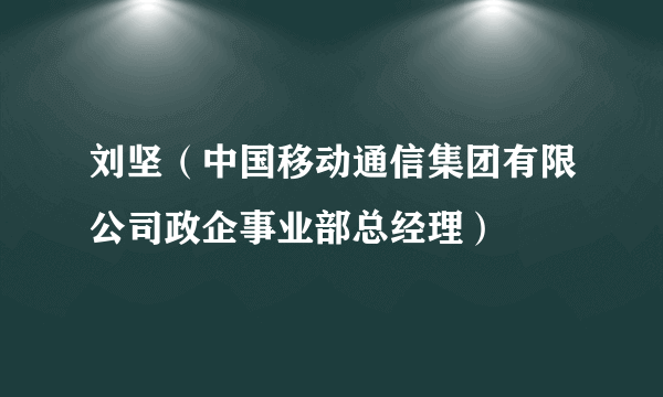 刘坚（中国移动通信集团有限公司政企事业部总经理）