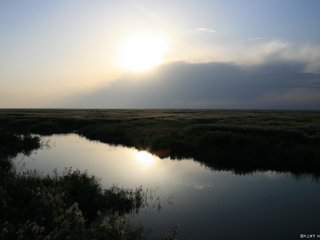 红碱淖湿地