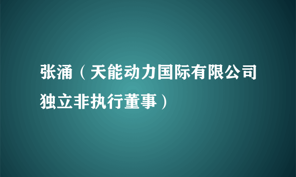 张涌（天能动力国际有限公司独立非执行董事）