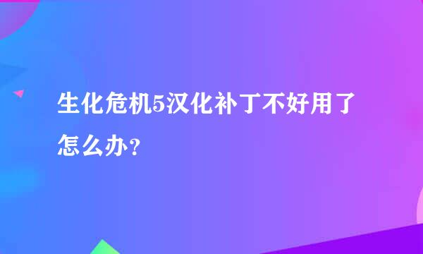 生化危机5汉化补丁不好用了怎么办？