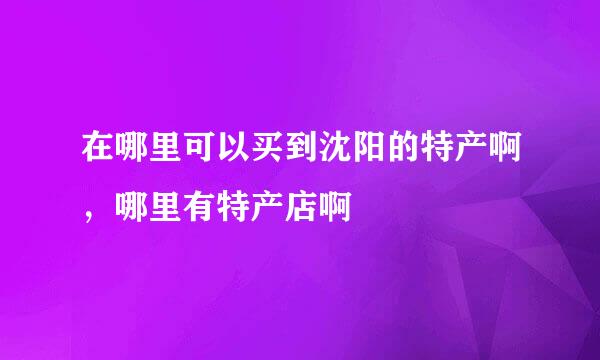 在哪里可以买到沈阳的特产啊，哪里有特产店啊