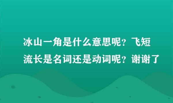 冰山一角是什么意思呢？飞短流长是名词还是动词呢？谢谢了