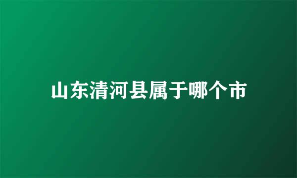 山东清河县属于哪个市