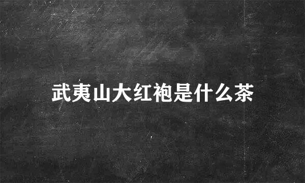 武夷山大红袍是什么茶