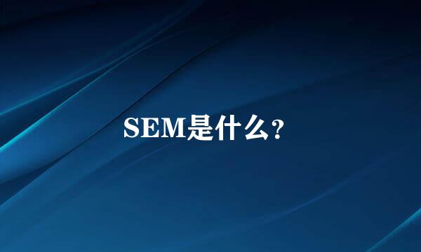 SEM是什么？