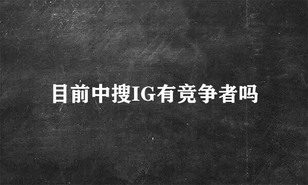 目前中搜IG有竞争者吗