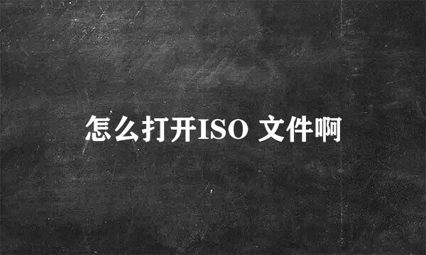 怎么打开ISO 文件啊