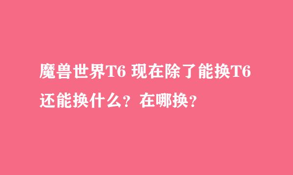 魔兽世界T6 现在除了能换T6 还能换什么？在哪换？