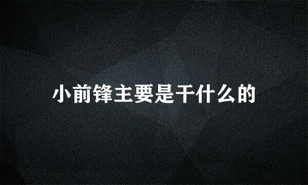 小前锋主要是干什么的