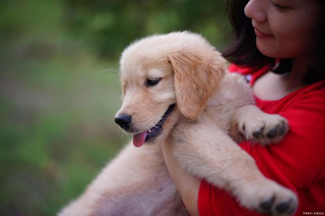 被狗狗隔着衣服咬了，但是没有破皮，需要去打狂犬疫苗吗？