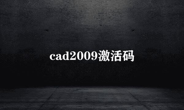 cad2009激活码