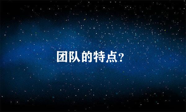 团队的特点？