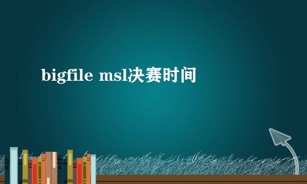 bigfile msl决赛时间