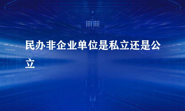 民办非企业单位是私立还是公立