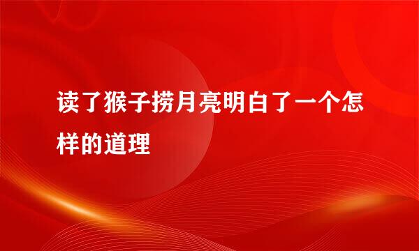 读了猴子捞月亮明白了一个怎样的道理