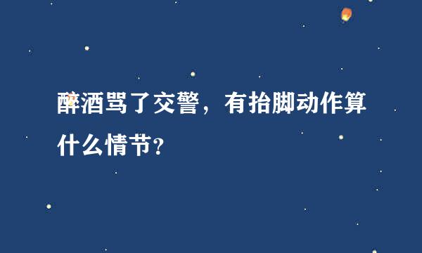 醉酒骂了交警，有抬脚动作算什么情节？