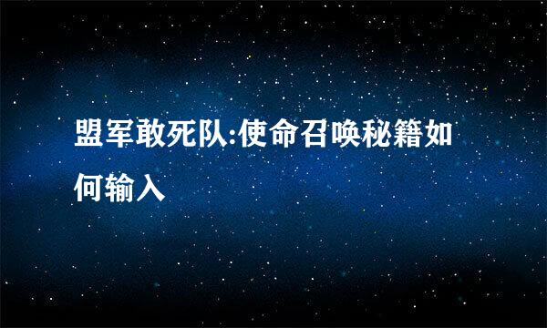 盟军敢死队:使命召唤秘籍如何输入