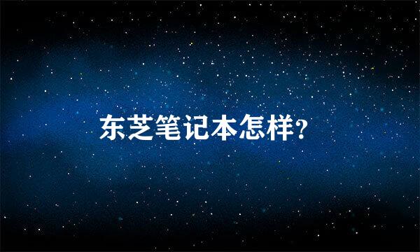 东芝笔记本怎样？