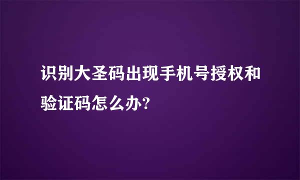 识别大圣码出现手机号授权和验证码怎么办?