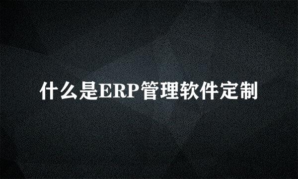 什么是ERP管理软件定制