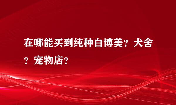 在哪能买到纯种白博美？犬舍？宠物店？