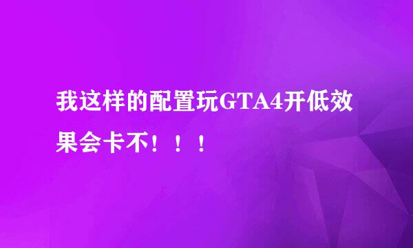 我这样的配置玩GTA4开低效果会卡不！！！