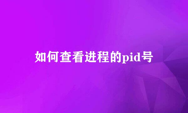 如何查看进程的pid号