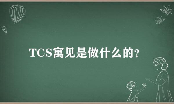 TCS寓见是做什么的？