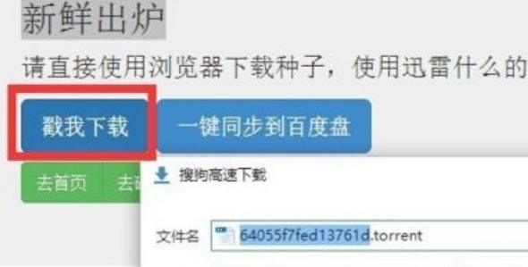 download是什么文件夹