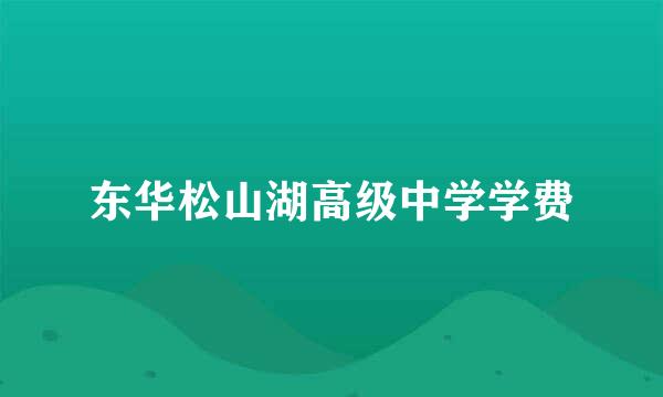 东华松山湖高级中学学费