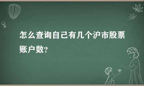 怎么查询自己有几个沪市股票账户数？