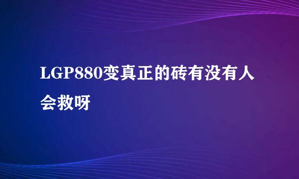 LGP880变真正的砖有没有人会救呀