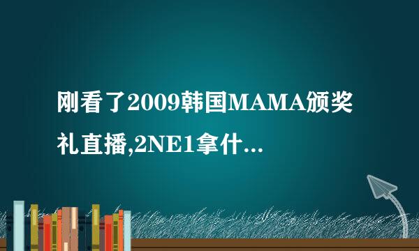 刚看了2009韩国MAMA颁奖礼直播,2NE1拿什么大奖了?好激动啊,新人就得了那么个大奖!