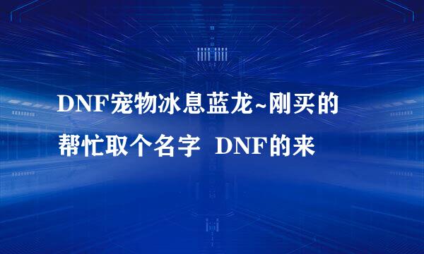 DNF宠物冰息蓝龙~刚买的  帮忙取个名字  DNF的来