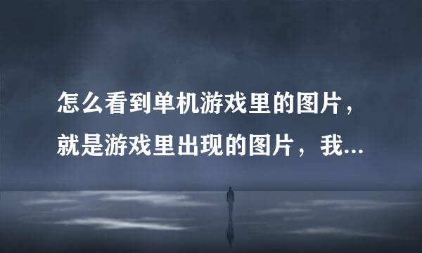 怎么看到单机游戏里的图片，就是游戏里出现的图片，我没时间玩但是想看