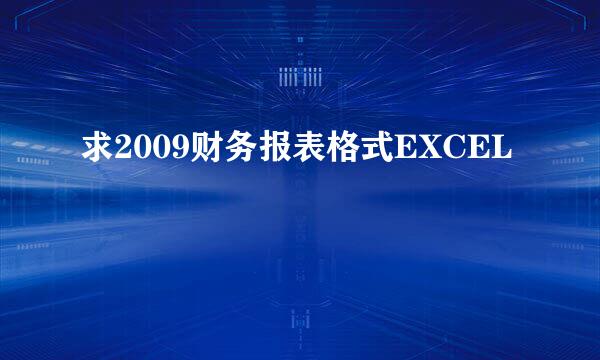 求2009财务报表格式EXCEL