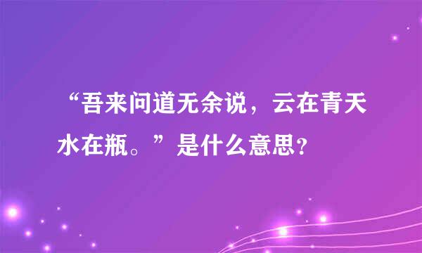 “吾来问道无余说，云在青天水在瓶。”是什么意思？