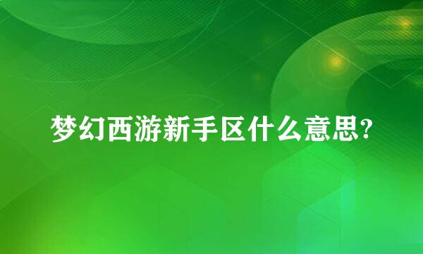 梦幻西游新手区什么意思?