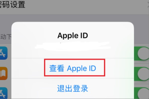 ipad app store 切换国家如何操作啊？