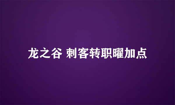 龙之谷 刺客转职曜加点