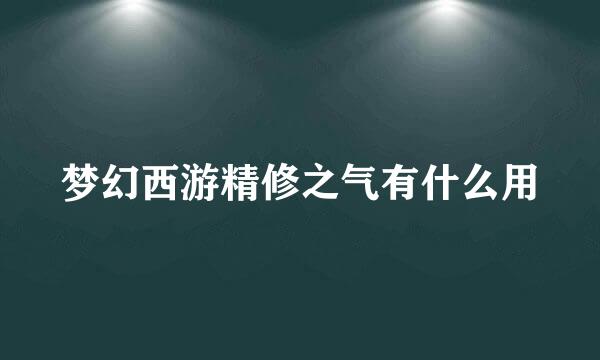 梦幻西游精修之气有什么用