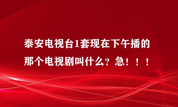 泰安电视台1套现在下午播的那个电视剧叫什么？急！！！