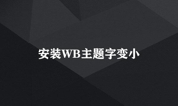 安装WB主题字变小